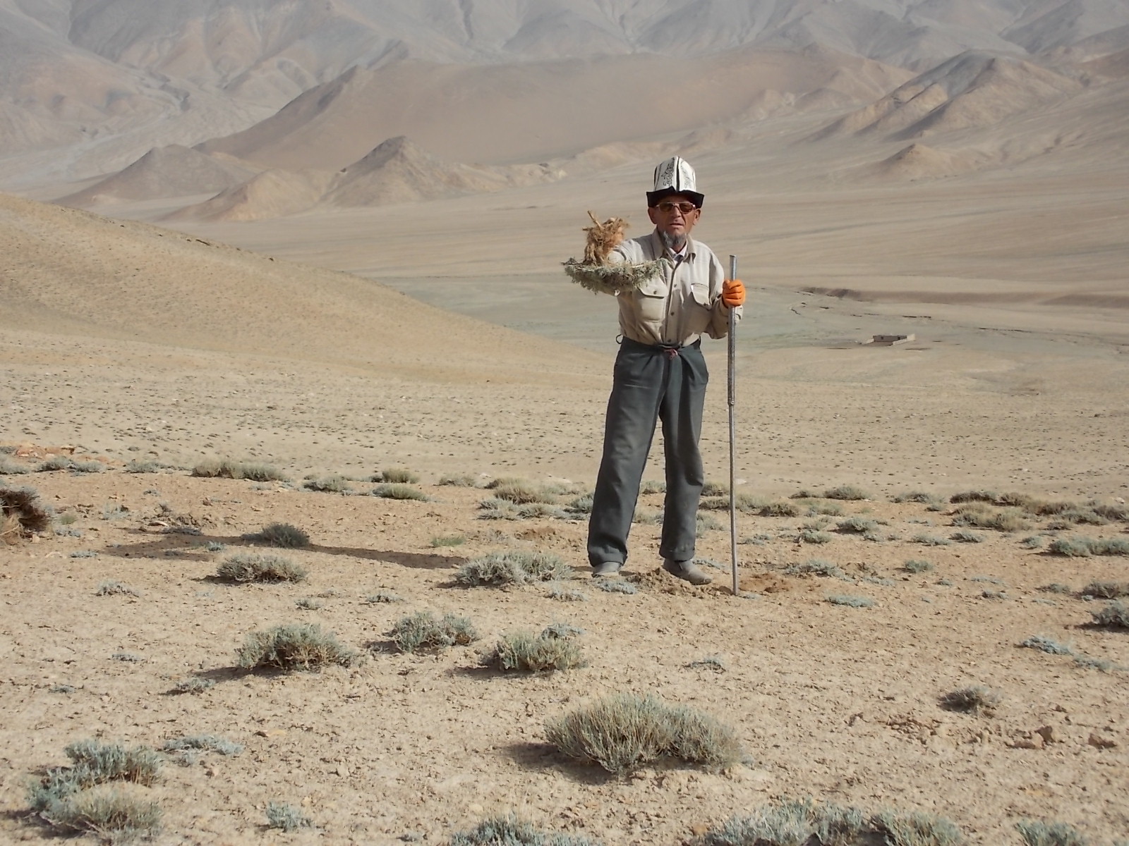 Tersken collector in Murghab, Tajikistan. Photo: Daler Kaziev